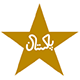 Cricket: Pakistan News