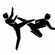 Olympic Games: Taekwondo